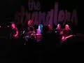 Stranglers Frome 2007 Thrown Away