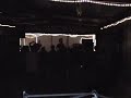 Let Lions - Tom Foolery