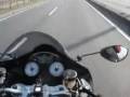 videos de ZZR 1400 INCREDIBLE ANIMAL 3