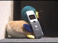 MODO 2007 - full phone conversation