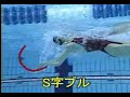 Back stroke all in one clip Back stroke all in one clip