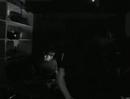 videos de Fungus Riot - 