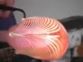 Glassmaking at Exmoorglass Exmoor Porlock Weir