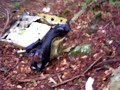 b52 bomber crash part 2 b52 bomber crash part 2