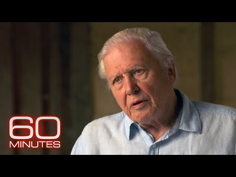 Video | Interview met Attenborough bij 60 Minutes