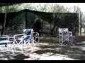 Adolfo en el paint ball........