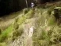 mountain biking around dunoon