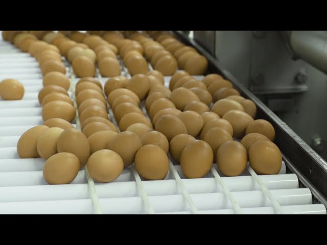 Αρχική