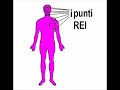 REI - I videocorsi ISI CNV