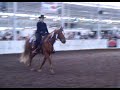 IFTA Hoosier Horse Fair MFT Demo 2007 IFTA Hoosier Horse Fair MFT Demo 2007