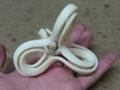 3D Printed Topological Model