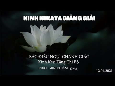 Kinh NIKAYA Giảng Giải - Bậc Điều Ngự - Chánh Giác  | Kinh Kesi Tăng Chi Bộ