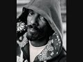Not A Criminal (Remix) Chamillionarie Ft. Snoop Dogg & Busta