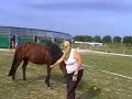 Prinzessin Clickertraining - Teil 1