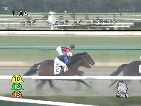 horse racing
