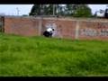 EL PUTO MUTER GRAFF LEON GTO