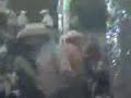 LOS SEMBRADORES EN UNA PACHANGA PRIVADA