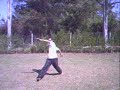 Fer Trick Masterswipe