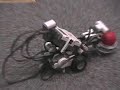 TriBot \ TriBot \