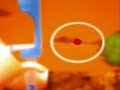 ecco la guida per trovare tutti e quattro i bersagli segreti nel tiro con l'arco di wii sports resort a difficolt� intermedio. se vi � utile segnalatela ai vostri amici. buon divertimento! (wii - 2010)