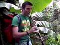 hautbois, les copains d'abords