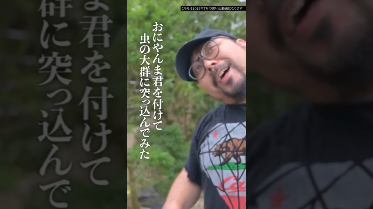 動画2