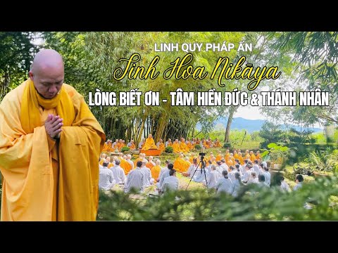 Tinh Hoa NIKAYA - Lòng Biết Ơn - Hạnh Hiền Đức - Tâm Thánh Nhân