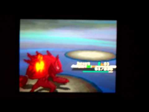 how to train n zorua