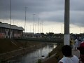 PIZZONIA EM MANAUS
