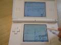 NINTENDO DS BROWSER - Google Maps