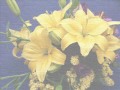 Une fleur m\ Une fleur m\