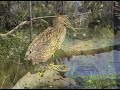 Cape York- To the Tip...