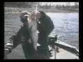 Big Bass fishing with Larry the Lizard on  Lake Fork