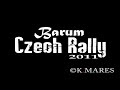 Crash Luca Betti Barum Rally 2011