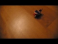 Project Night 1: BristleBot
