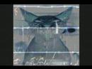 Lifes Punishment - Nightmare Foresight Lifes Punishment - Nightmare Foresight