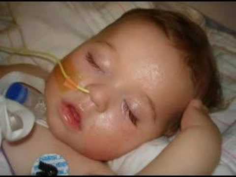 the life of noah steven- ...