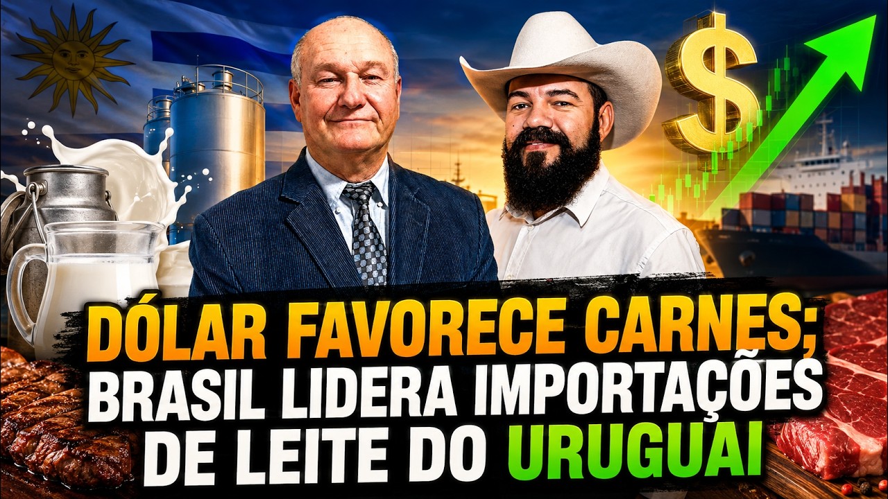 Pecuária: Dólar favorece carnes; Brasil lidera importações de leite do Uruguai.