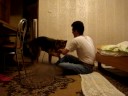MOV02385.MPG