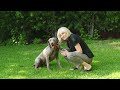 Click here to watch this video Precious Princess