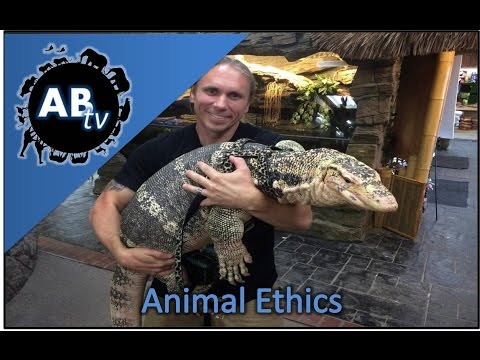 YouTube reptile video