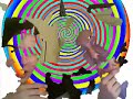 chicory chicory