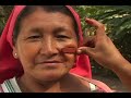 CORREDOR TURISTICO ARAWAK DE LA SELVA CENTRAL 01