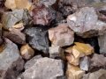 Agate Hunt!
