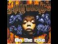 Aphrodelics - On the Rise