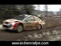 wrc   swedish rallye 2008