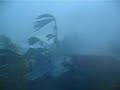 Hurricane Ivan Destruction