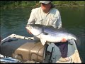 Monster Stripers 2 Promo (Part Two)