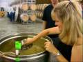 You Too Can be a Vintner