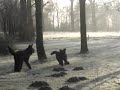 Yosta en kleine Boy, tje.mpg